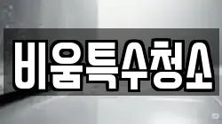 비움특수청소