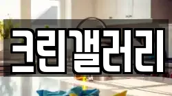 크린갤러리