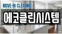 에코클린시스템