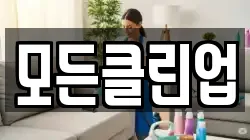 모든클린업