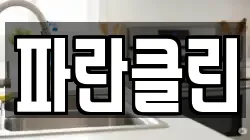 파란클린