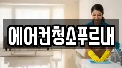 에어컨청소푸르내