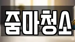 줌마청소