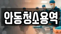 안동청소용역
