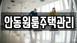 안동원룸주택관리