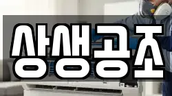 상생공조