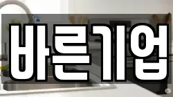 바른기업