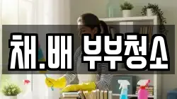 채.배 부부청소