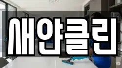 새얀클린