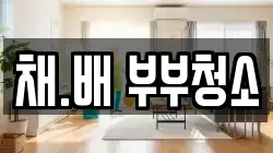 채.배 부부청소