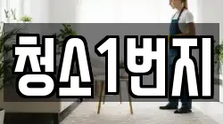 청소1번지