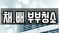 채.배 부부청소