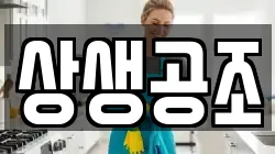 상생공조