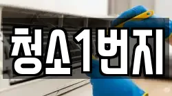 청소1번지