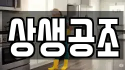 상생공조