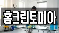 홈크린토피아