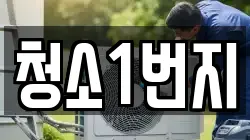 청소1번지