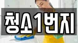 청소1번지