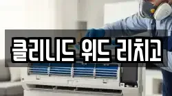 클리니드 위드 리치고