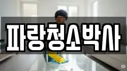 파랑청소박사