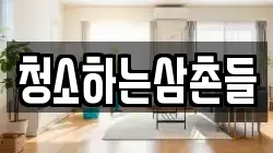 청소하는삼촌들