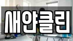 새얀클린