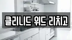 클리니드 위드 리치고