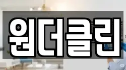 원더클린