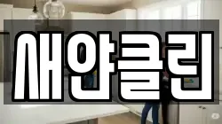 새얀클린