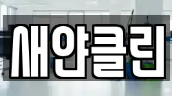 새얀클린