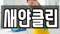 새얀클린