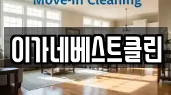 이가네베스트클린