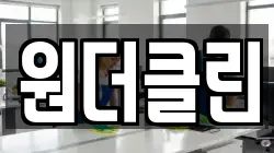 원더클린
