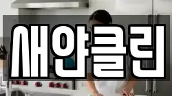 새얀클린