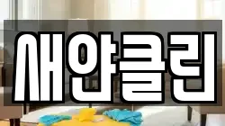 새얀클린