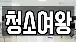 청소여왕