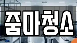 줌마청소