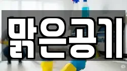 경북 영천시 신기동 청소,입주청소,사무실청소,에어컨청소,특수청소,상가청소,거주청소,유품정리