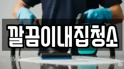 깔끔이내집청소