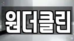 원더클린