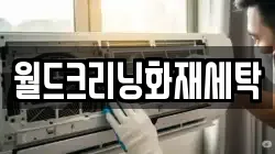 월드크리닝화재세탁