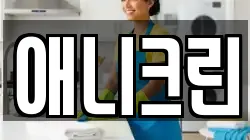 애니크린
