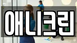 애니크린
