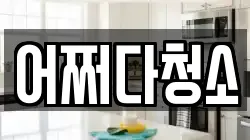 어쩌다청소