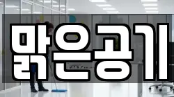 맑은공기