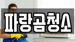 파랑곰청소