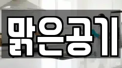 맑은공기