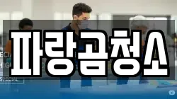 파랑곰청소