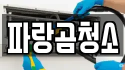 파랑곰청소