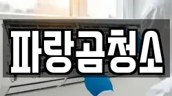 파랑곰청소